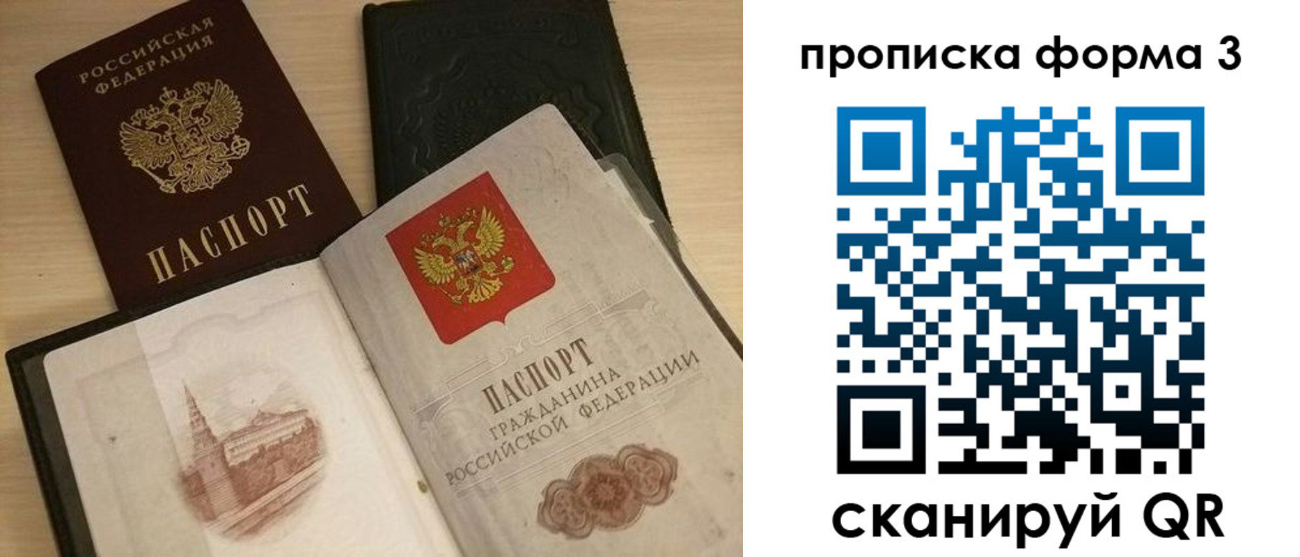прописка для школы в Ленинградской области